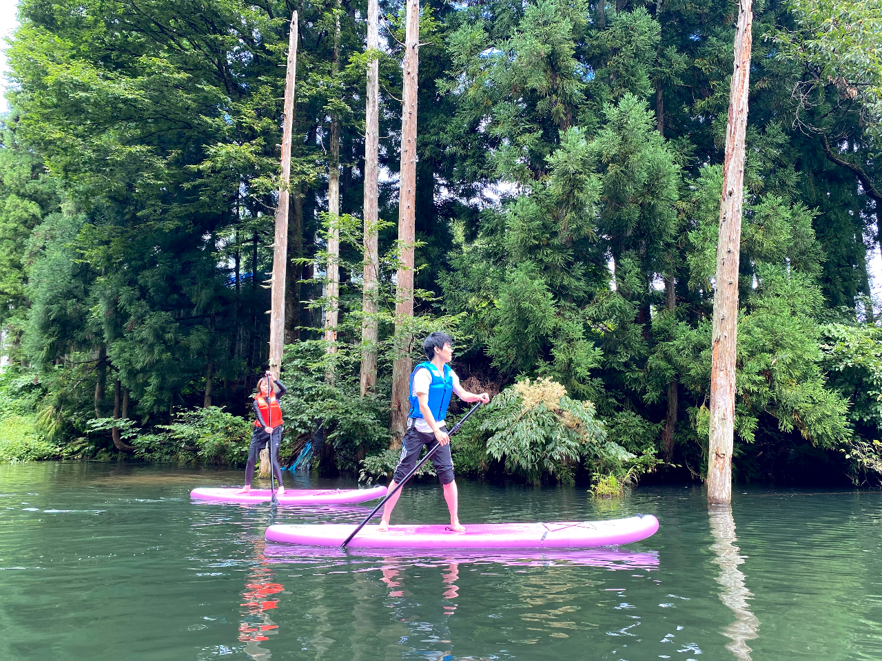 ����Ă����痧�������ɒ���I