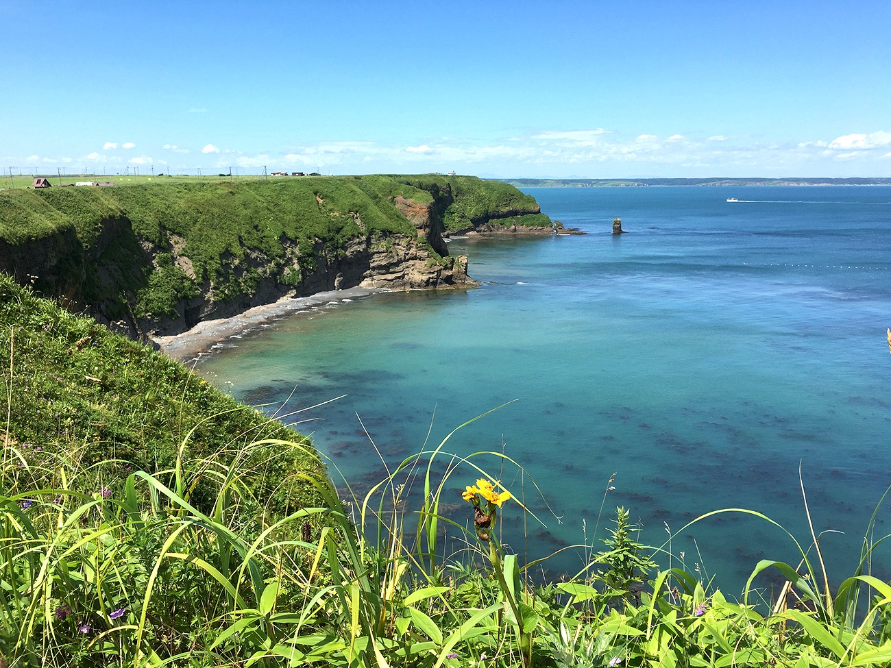 浜中ネイチャーツアー