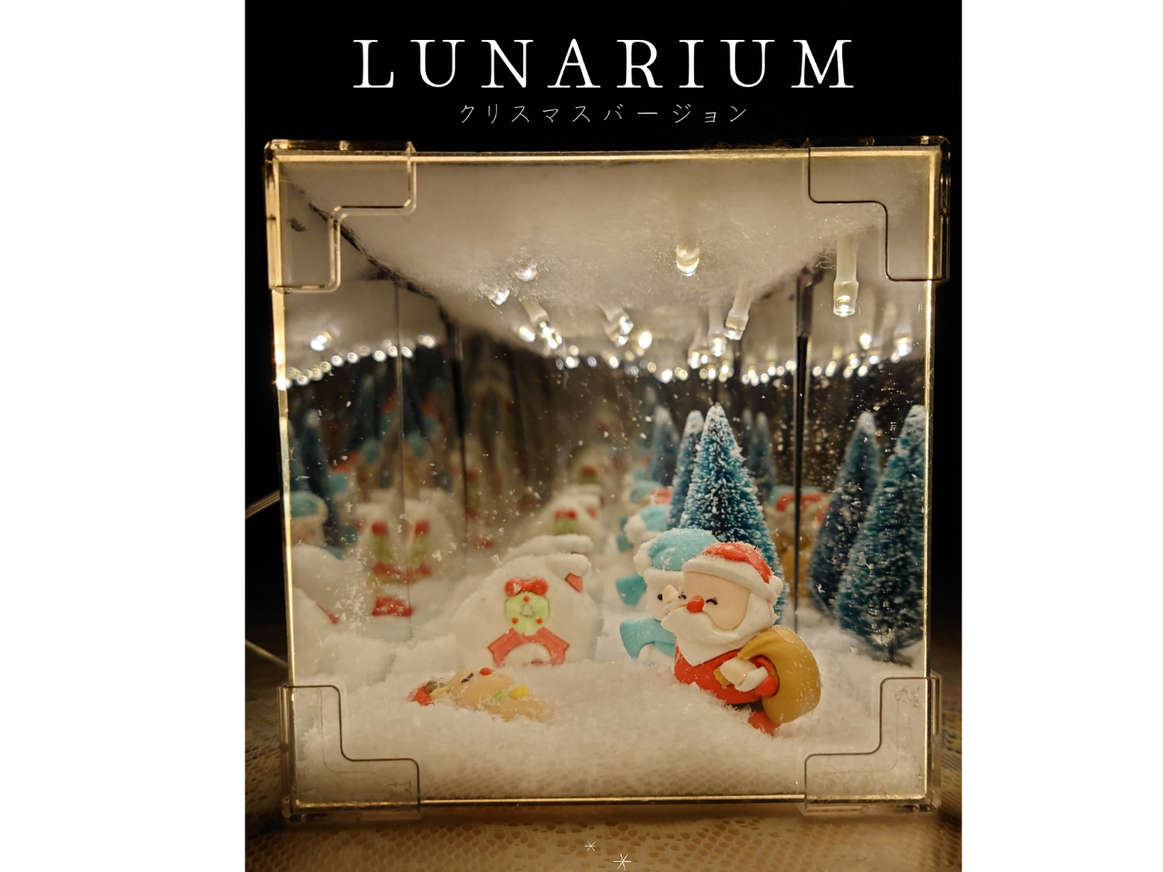不思議なクリスマスボックス(ルナリウム)作成ワークショップ