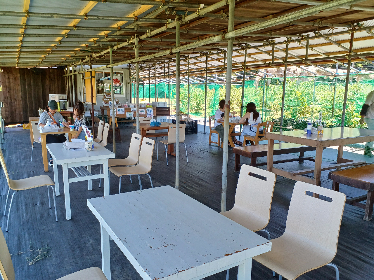 ※ 土日祝【八千代市・ブルーベリー狩り】入園料(持ち帰り)プラン・食べ放題ではあ...