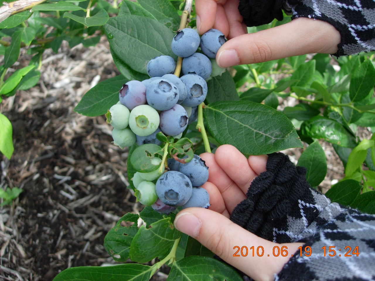 @6{̃nCubVni킩A8{܂ł̃rbgni܂ŁA14iAĂ܂̂ŁAnĂ܂B