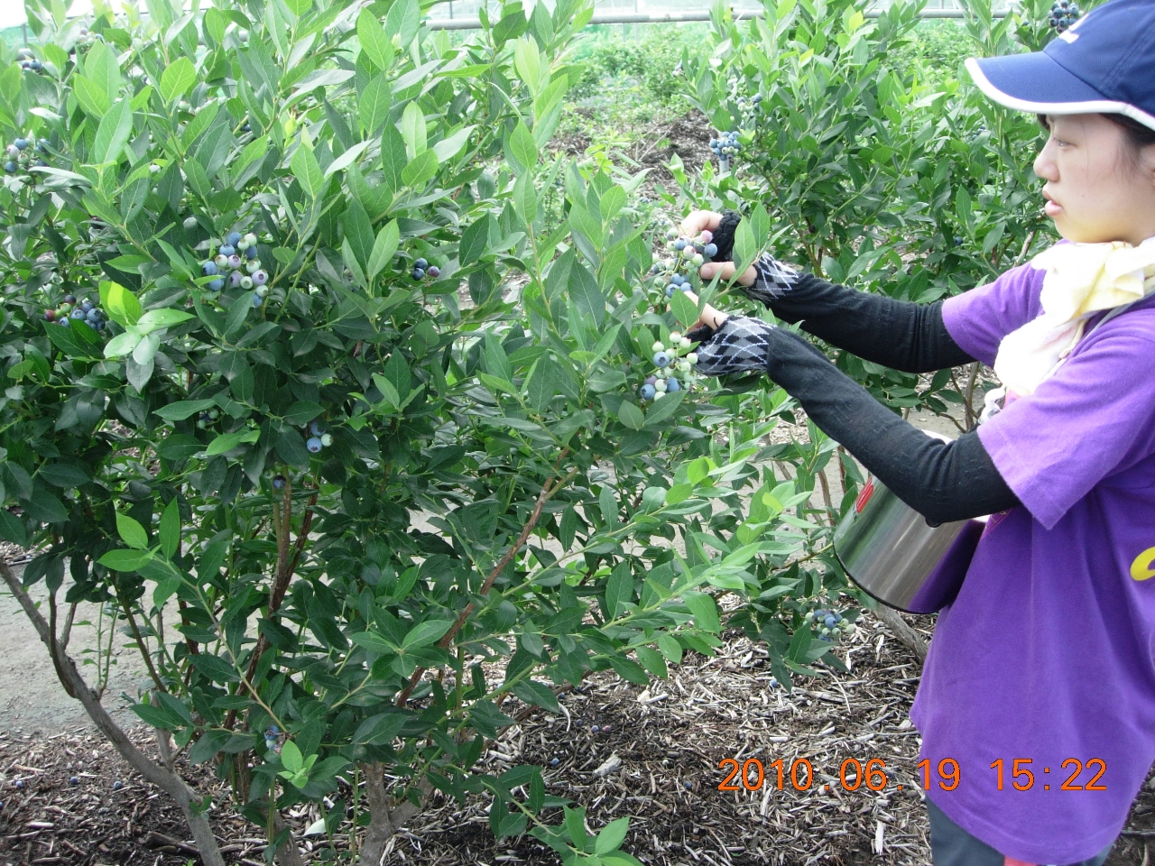 u[x[nqĺA1kg܂ŁAn|bgŎnł܂B