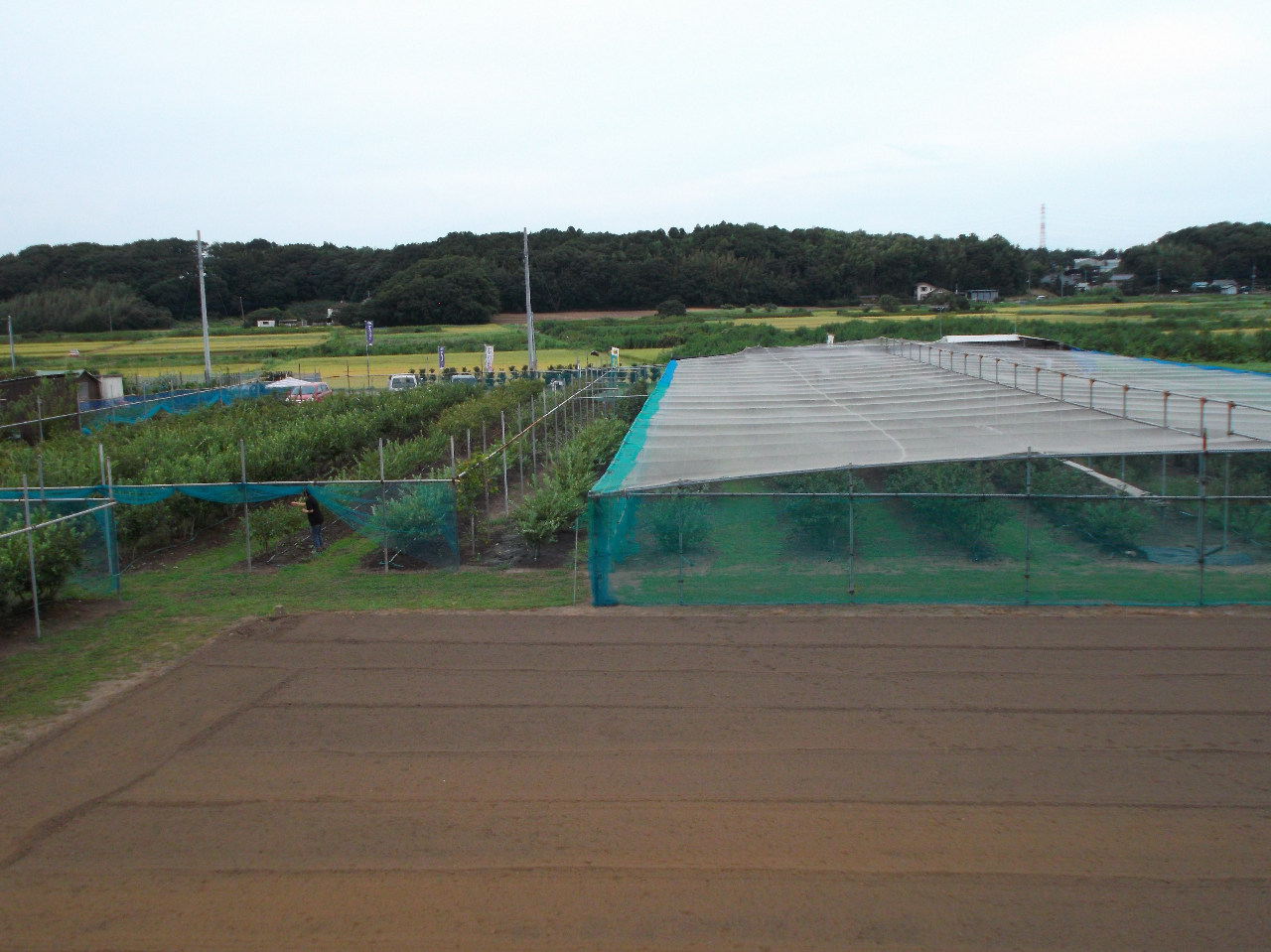 3,000ũu[x[Bԏ͂VBLtxe270uBqle[u11A֎q44pBpe[u1B