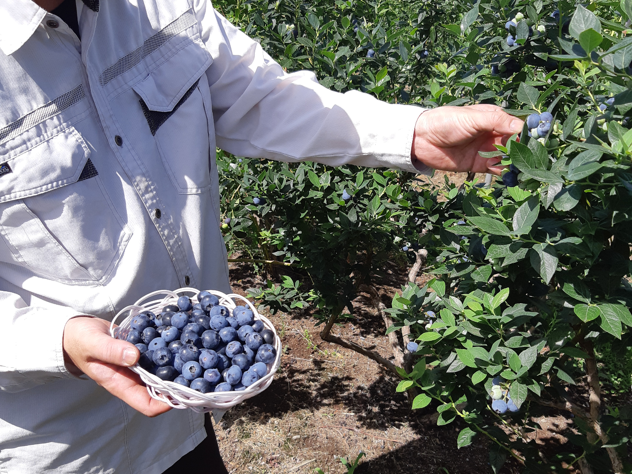 2025N6@u[x[̎nn܂܂BnɂȂ肨Ȃ܂B