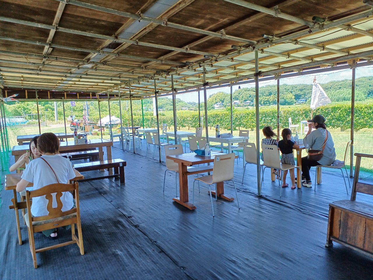 Lđ傫ȉ̗xeŁA₽ƈꏏɐHׂu[x[́AƂĂłBćApbNɋl߂đSyYŁAAł܂B