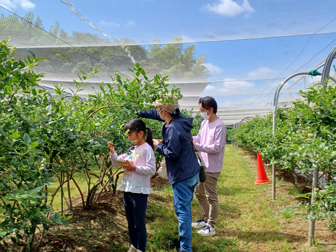 nֈtɎn܂Bi͖hlbgŕĂ܂B