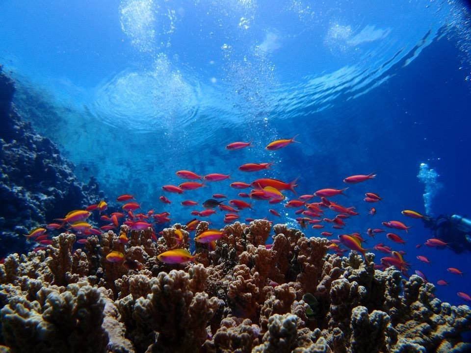 ܂łƂb̂悤ȐECɂ͂łI