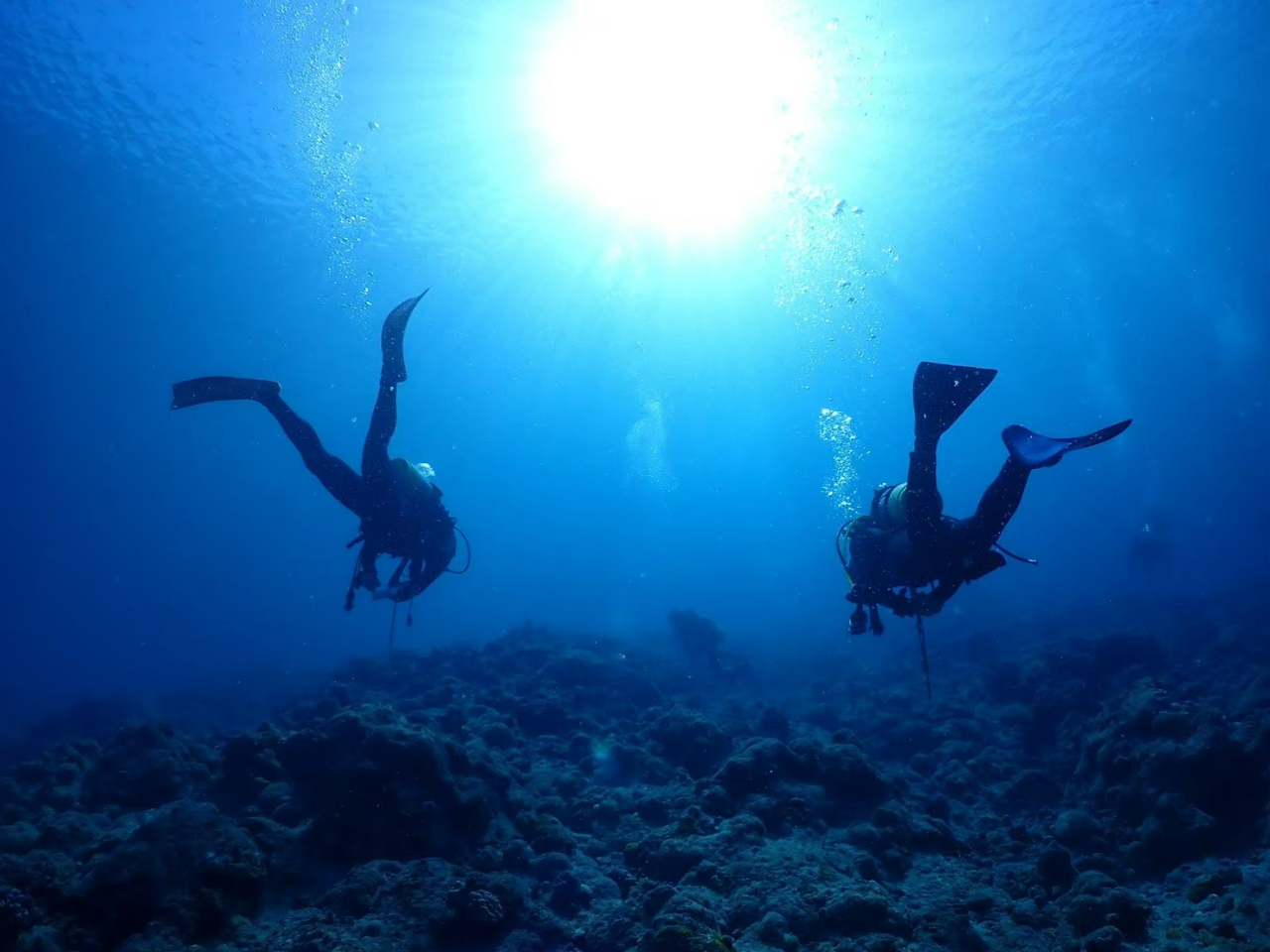 C̒̐Eɖ`ɏoĂ݂܂񂩁H