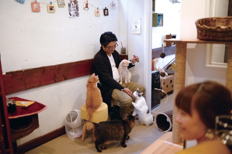 猫カフェ じゃらん限定 70分ドリンク付きセットプラン 女性 カップルにおすすめ 猫カフェコロン じゃらん遊び体験 猫カフェ じゃらん限定 70分ドリンク付きセットプラン 女性 カップルにおすすめ 猫カフェコロン じゃらん遊び体験