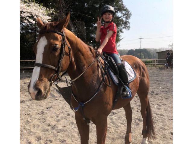 乗馬体験45分 経験者向け 指導は不要 サクッと馬に乗りたい方 栃の葉乗馬クラブ じゃらん遊び体験 乗馬体験45分 経験者向け 指導は不要 サクッと馬に乗りたい方 栃の葉乗馬クラブ じゃらん遊び体験