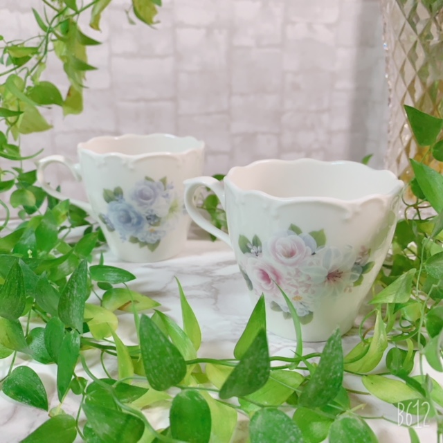 Jbv͐ގ葵Ă܂Bv[gɂ߁I