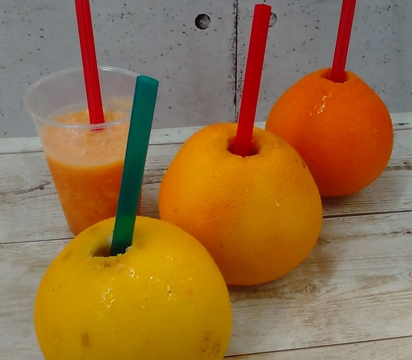 鉄道の町 新津で鉄分ならぬビタミン注入 カジュッタジュース Or フルーツスムージー 作り体験 インスタ映え期待大 作って楽しい 見て楽しい 飲んでおいしい ファミリーにおすすめ やまいし果物店 じゃらん遊び体験