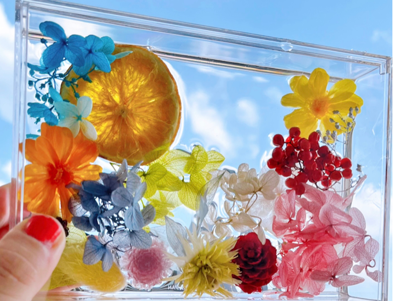 ɉfFN₩Ŗ邢J[̉ԍނgpđfGȃn[oEv[g肢܂B肪Ƃ܂B