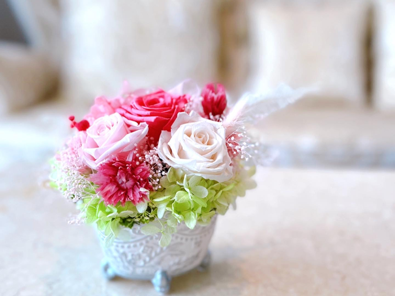 Yli vU[uht[AWg@DFłƂĂiŉ؂₩ȑfGȃAWg蒸܂B@肪Ƃ܂B