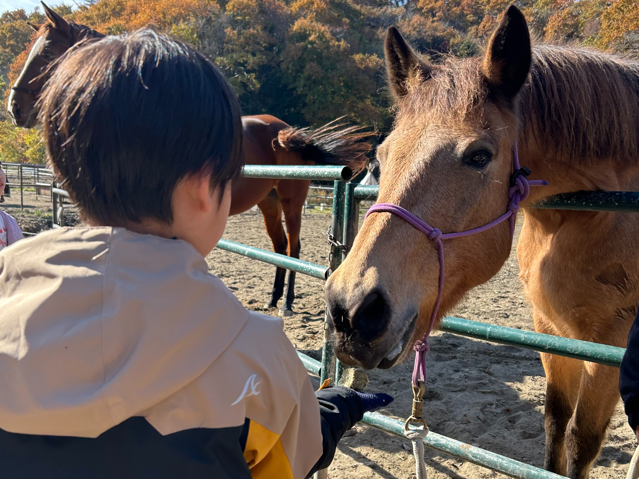 �n�̂�������̌�