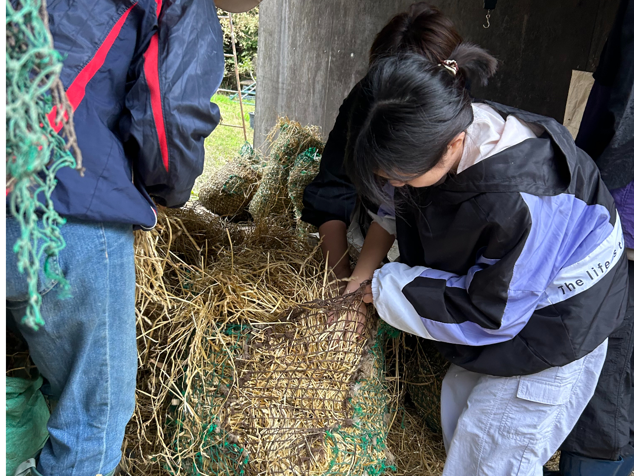 �n�̂��͂���̌�