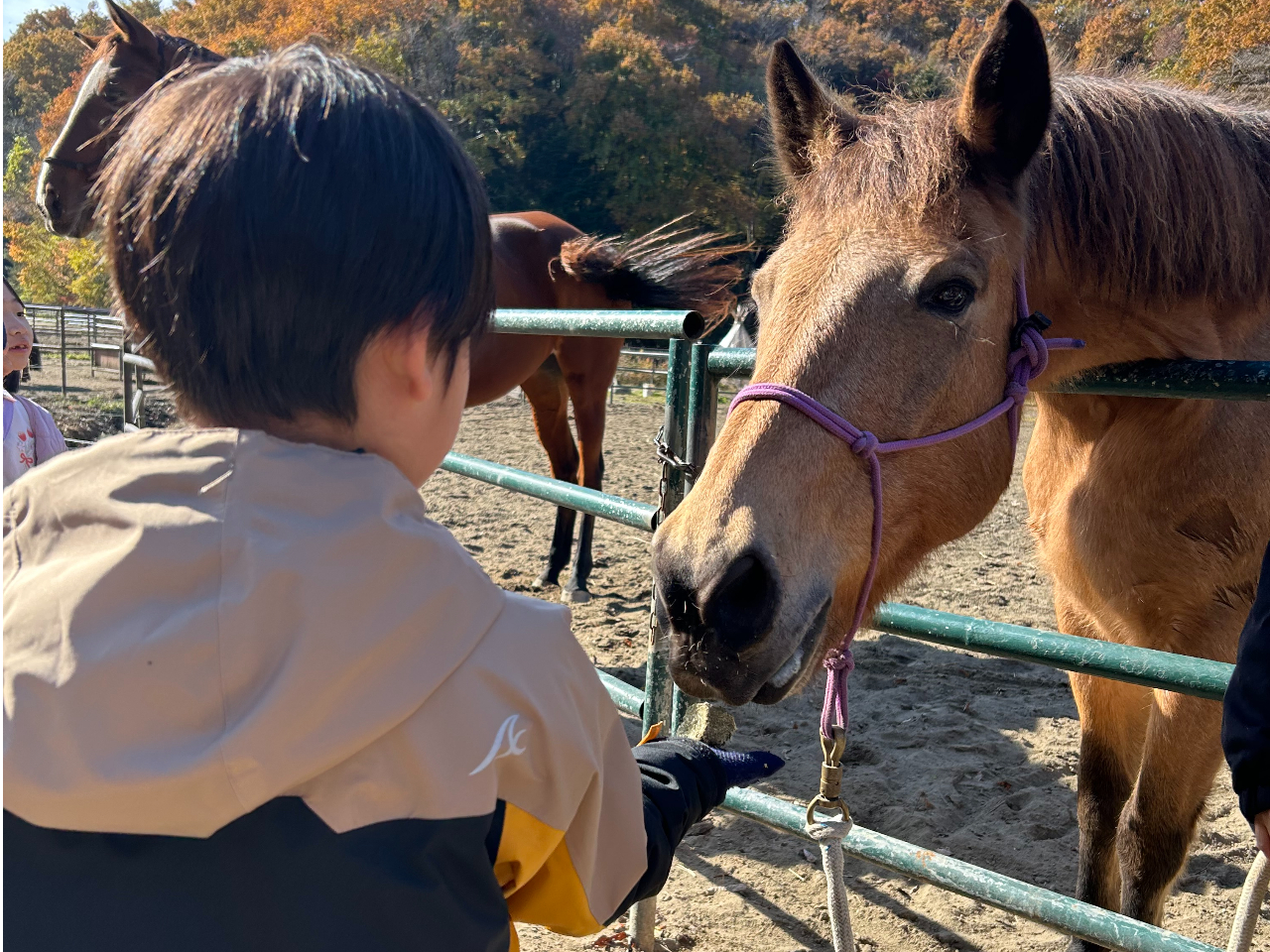 �n�̂�������̌�