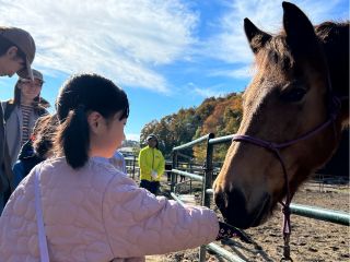馬との挨拶体験