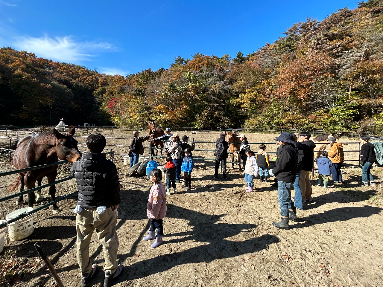 �n�Ƃ̂ӂꂠ��