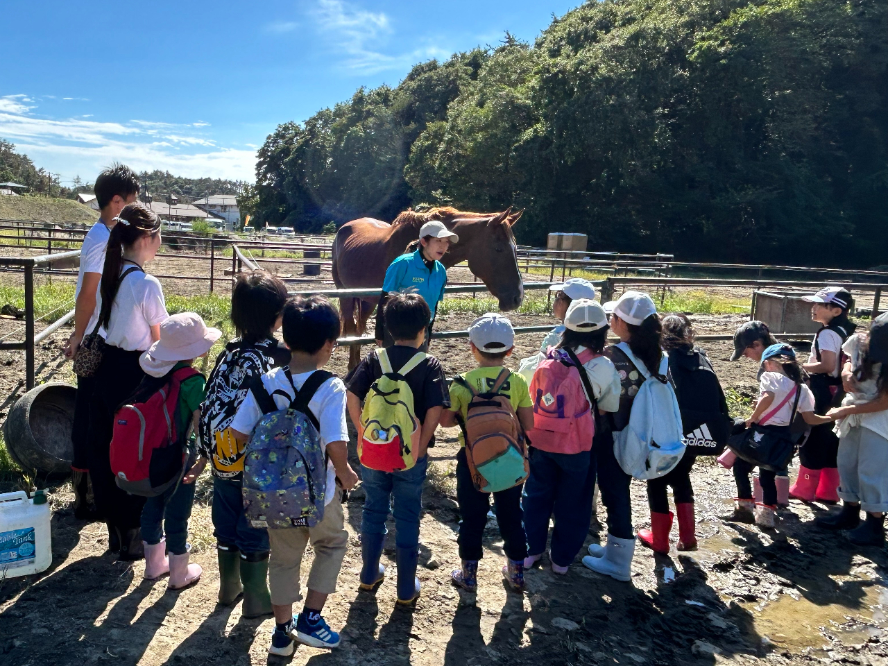 �n�ɂ��Ă̎���E�N�C�Y