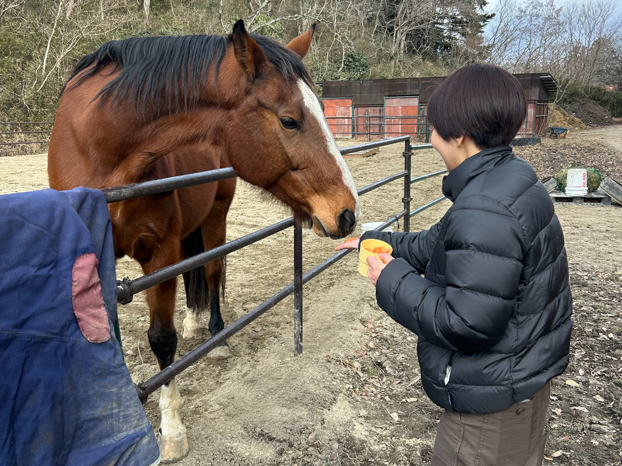 �n�ɂ���グ�̌�