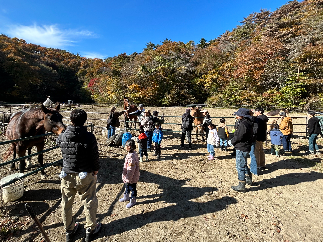 �n�Ƃ̂ӂꂠ���̌�