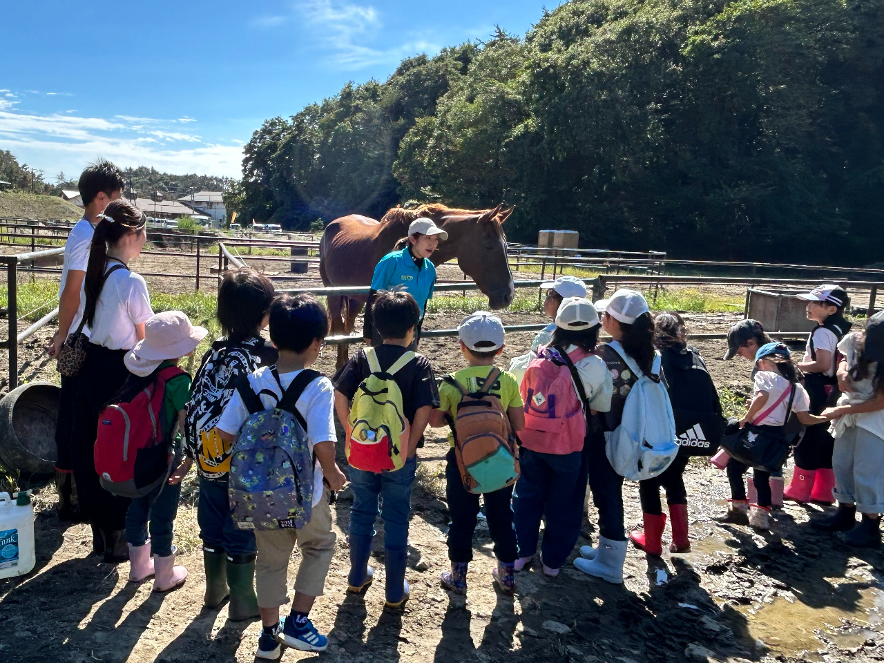 �n�ɂ��Ă̎���E�N�C�Y