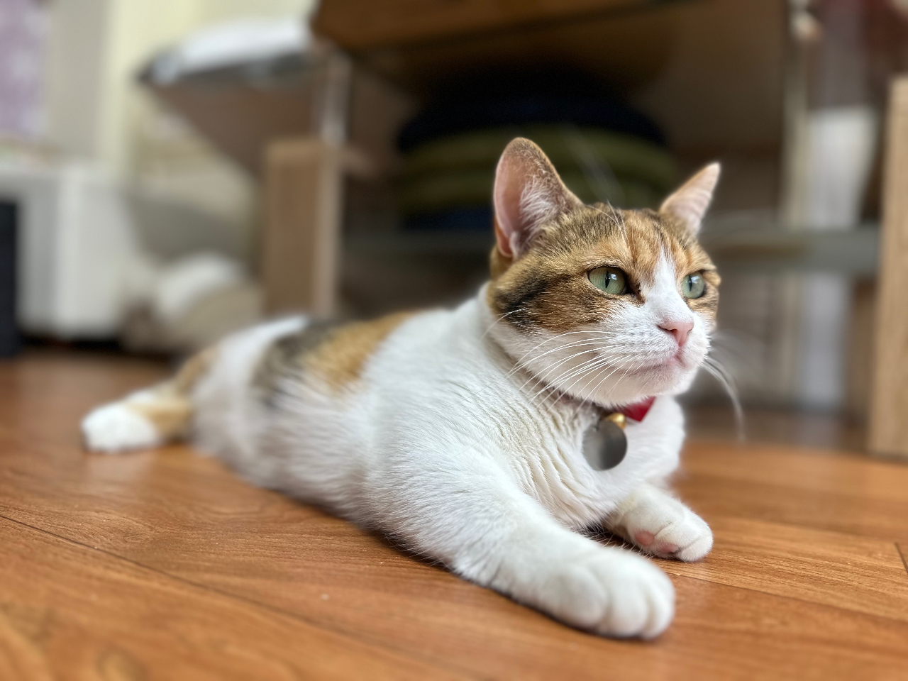 ŔL̂܂ɂ͂ł܂