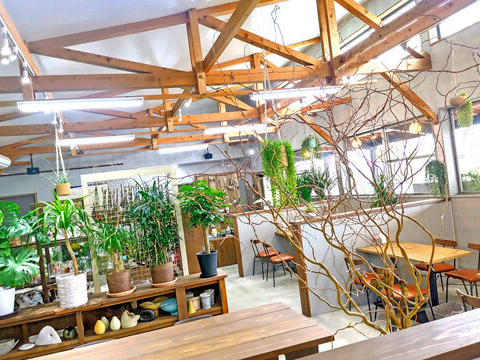 ���ԉ������cafe���Z�������{�^�j�J���ȋ��