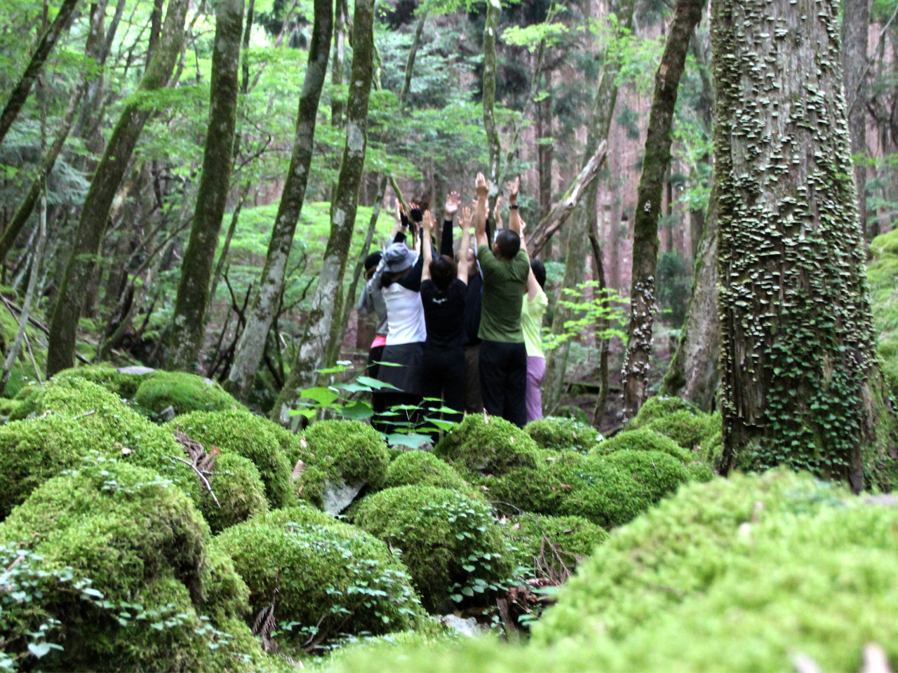 1cA[1O[ṽvCxCgcA[ł̂ŁAKʐ^Be̎ԂȂǂ݂邱Ƃł܂