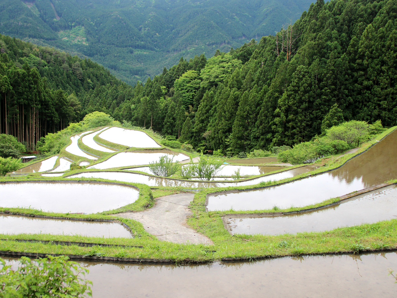 ҂킹ꏊ猻n܂ł̓ɂ͌LBɂ͊蓹yނƂ