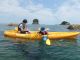 海水温が冷たい時期でも箱メガネで海中観察をお楽しみいただけます