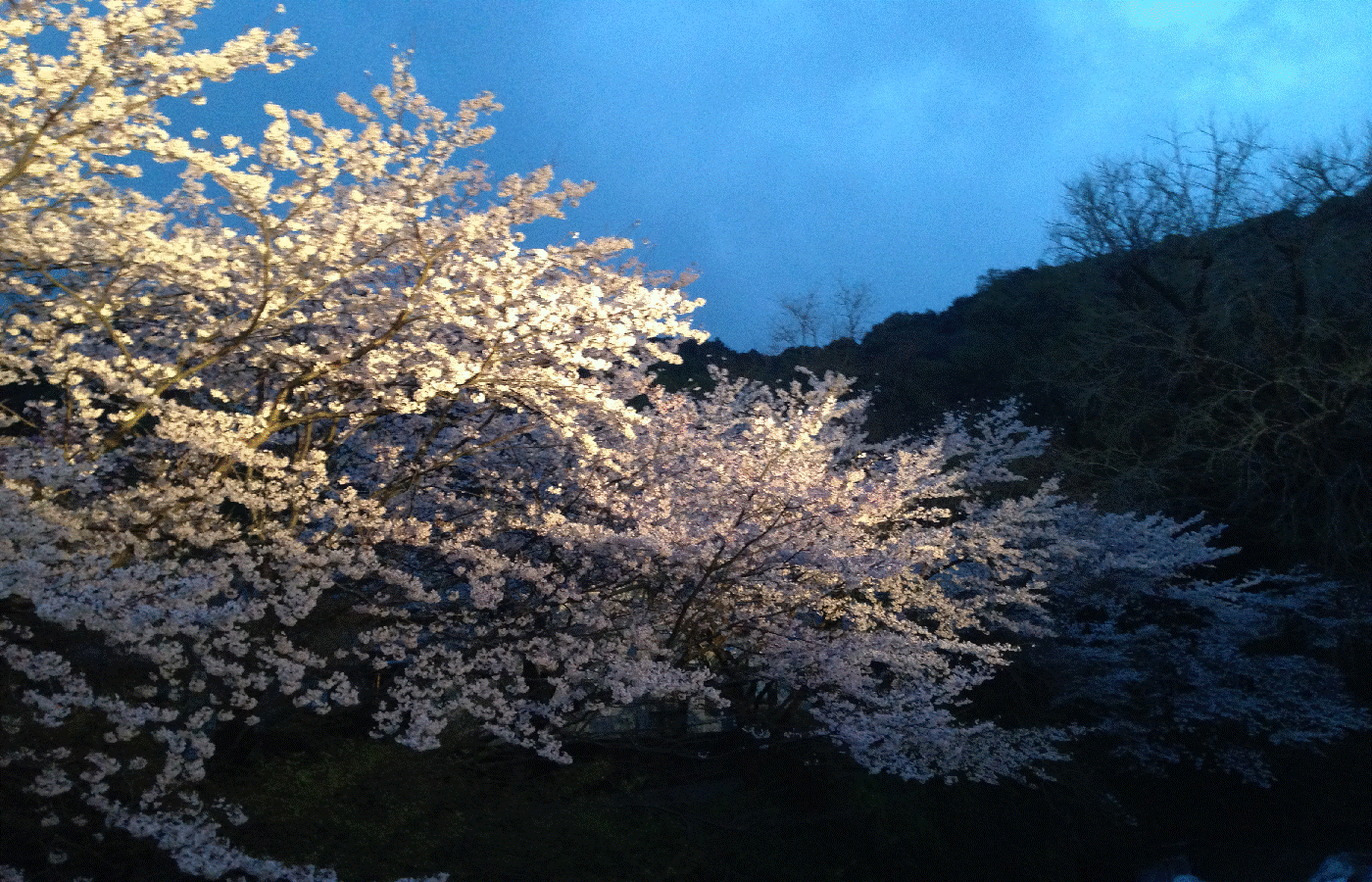 ■半日(3H)■【農業体験*久山ファーム】農業の楽しさ&ノウハウ伝授♪お一人様◎...