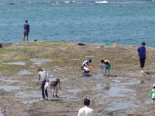 太郎 釣 釣り情報 週刊つり太郎WEB