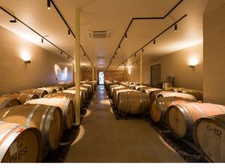 甲州市勝沼町 まるき葡萄酒 テイスティングツアー まるき葡萄酒 じゃらん遊び体験
