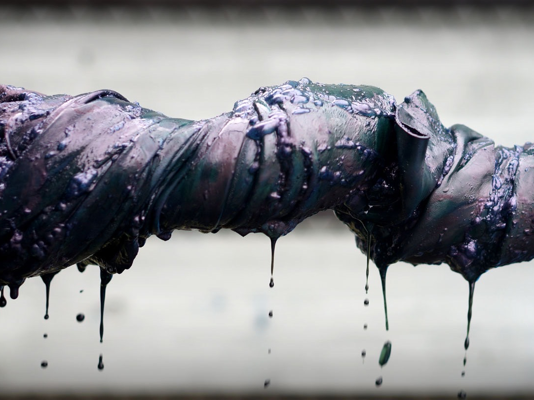 ꖇꖇviŐ߂Ă܂BȂ̂őSĐF⃀ႤߐEɈ̊vƂȂ܂