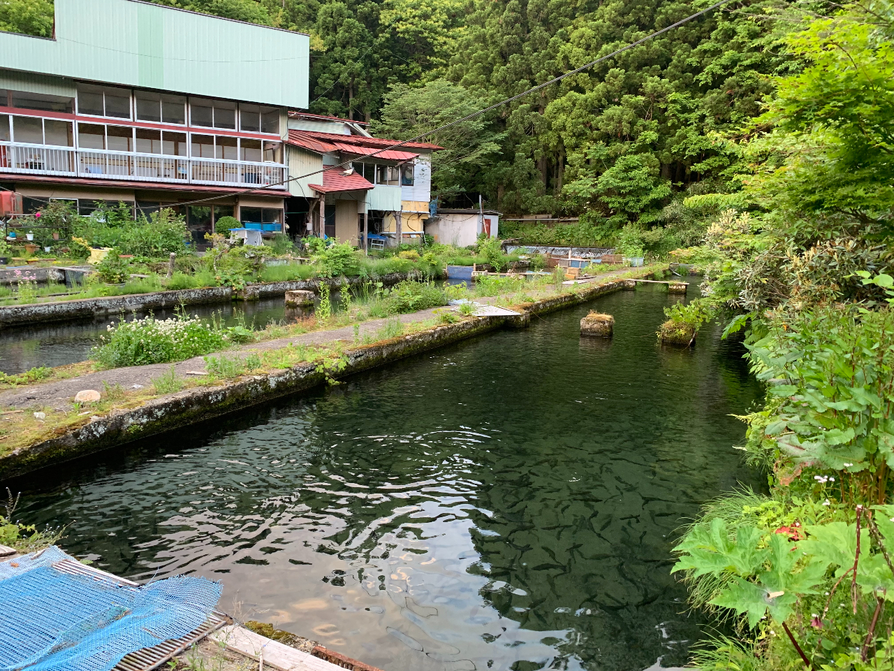 【山形市・釣り堀】《時間釣り》山形駅から車で約20分の立地!釣った魚はキャッチ&...