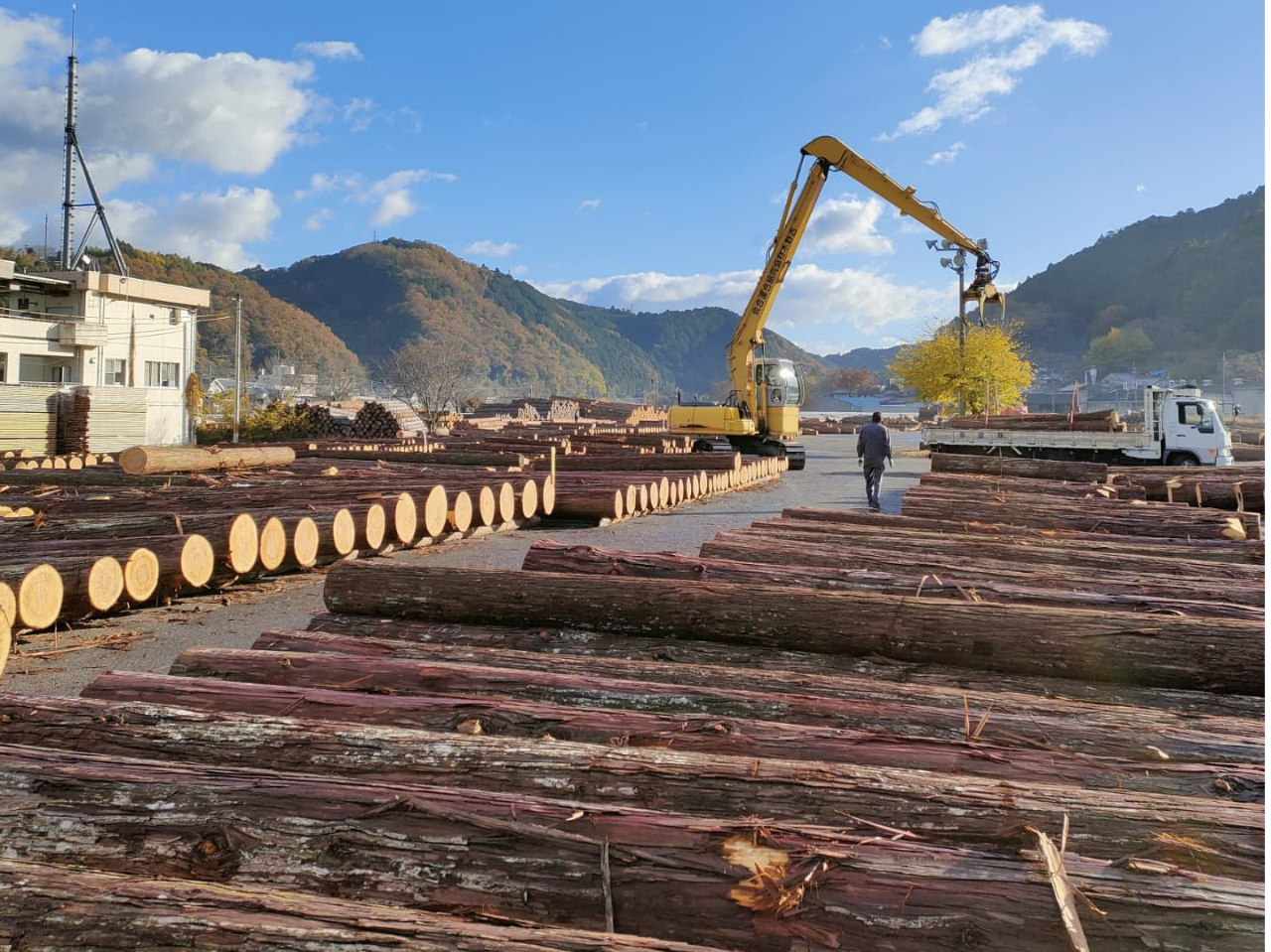 吉野の木が集まる市場