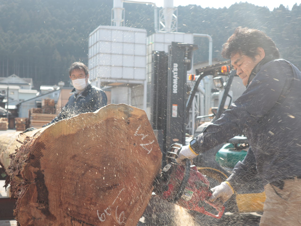 傫Ȋۑ`F[\[Ő؂Ă܂I