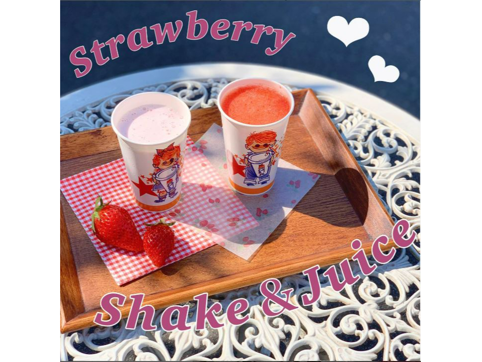 �������̃V�F�C�N�␶�W���[�X�����X�̂������߁I