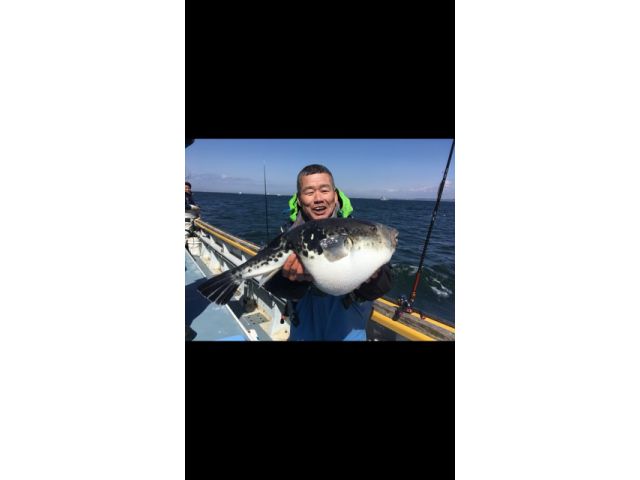 乗合 7時00分出船 フグ釣り体験 釣ったフグは フグ調理師免許取得者 が捌きます えさ政釣船店 じゃらん遊び体験