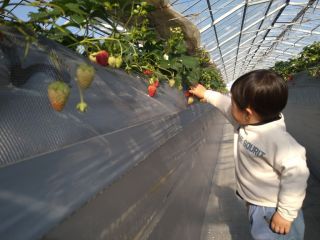 すれ違える位の広めの通路です。
