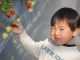 小さいお子さんでも自分で、いちご狩り出来ます!