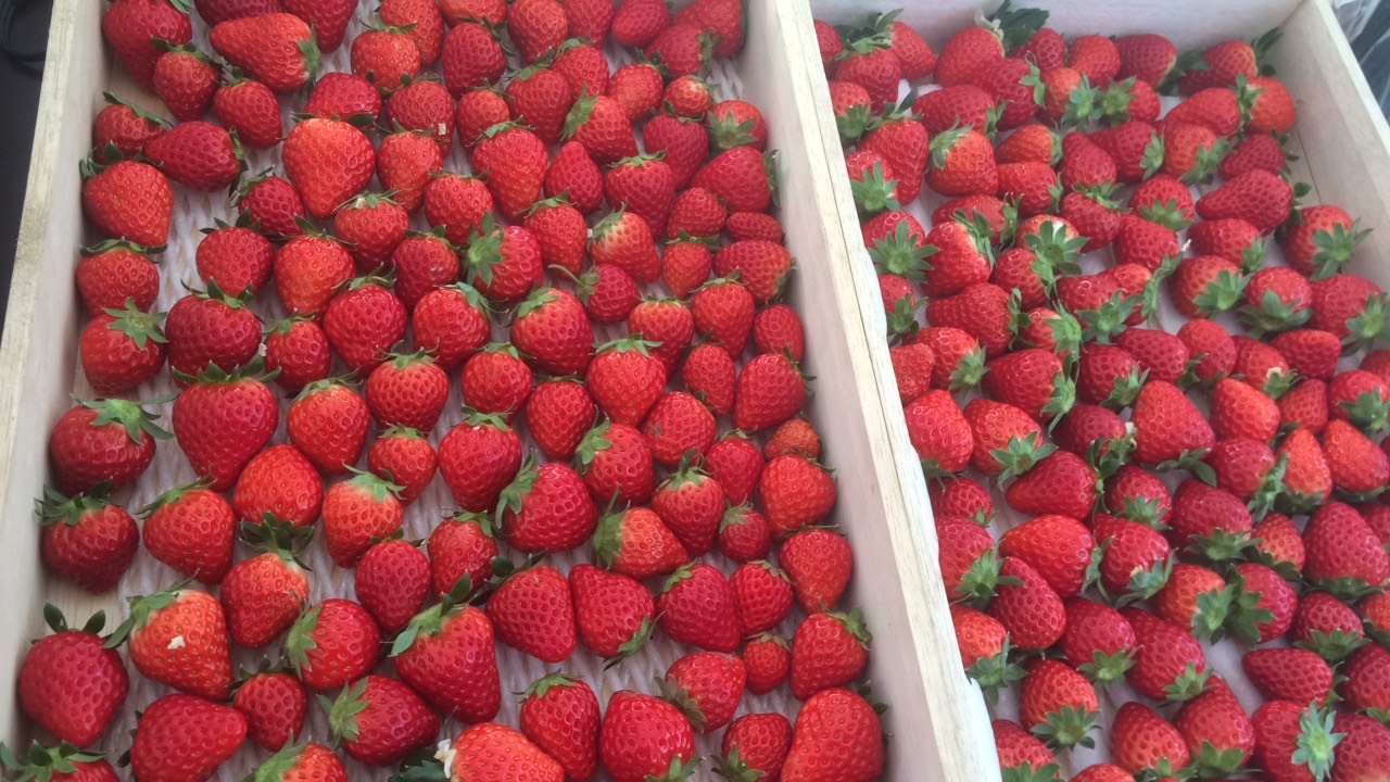 ����������Ă��܂�