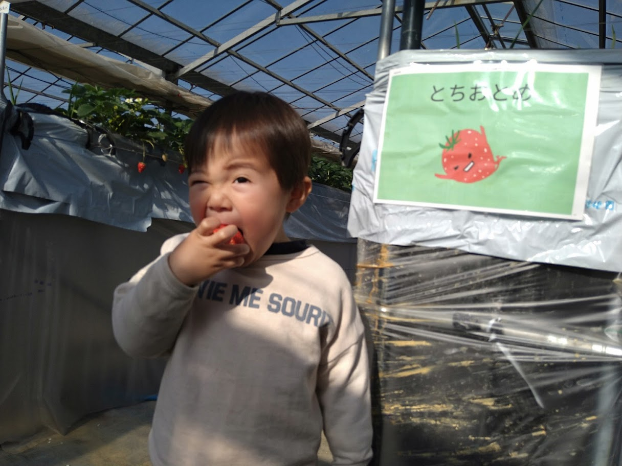 �T��ނ̂��������H�ה�׏o���܂��I