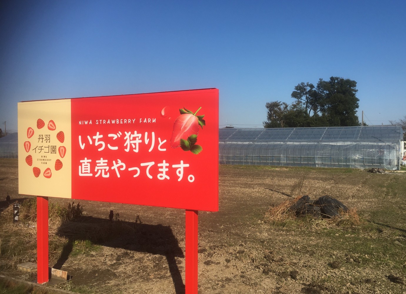 �Ŕ̉��ɁA�������̃r�j�[���n�E�X������܂��B