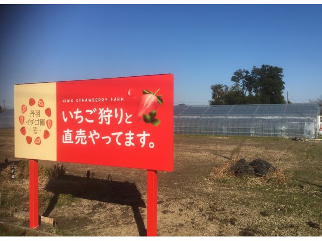 看板の奥に、いちごのビニールハウスがあります。