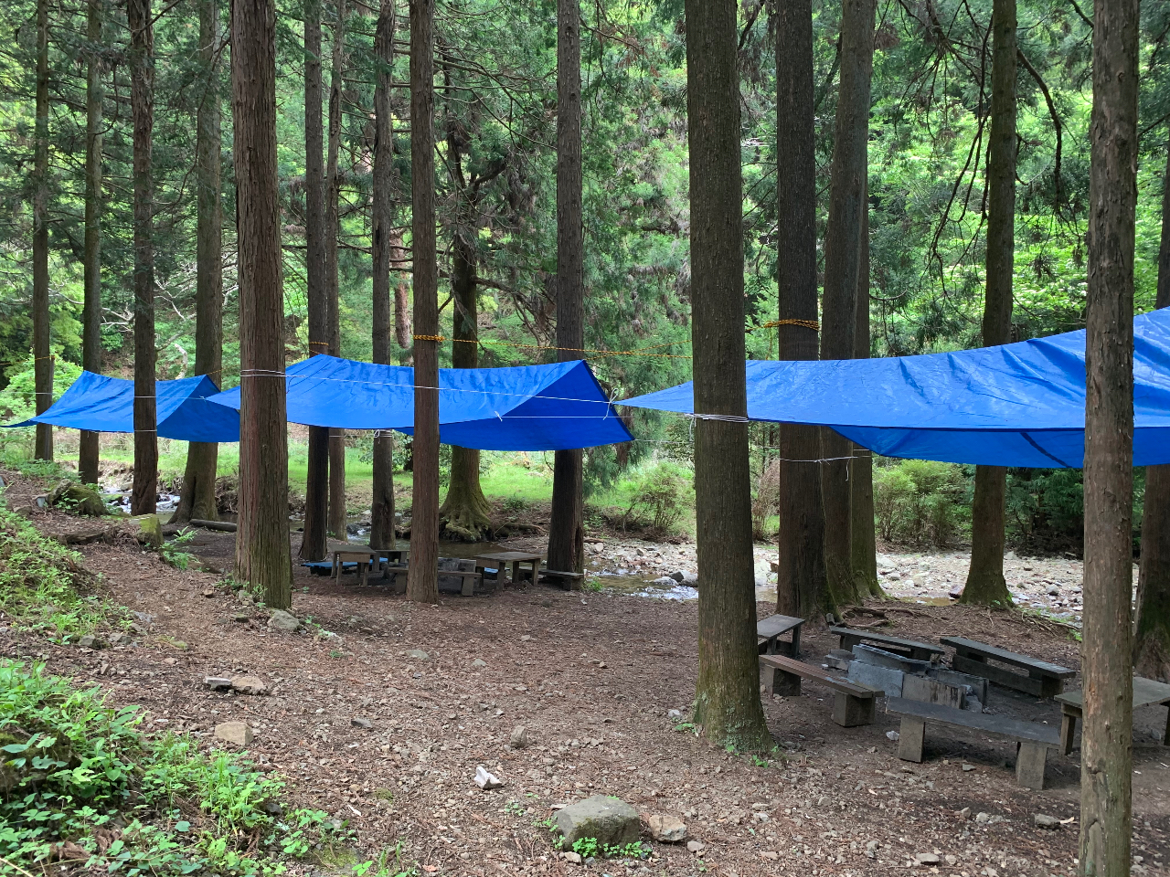 BBQTCĝɂ͉J悯̃V[g𒣂ĂTCg܂B