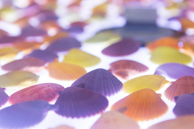 2019N11ɃVF~[WAj[A܂Iǖʂɂ͐[Cv킹C̃vWFNV}bsO{A܂ŊC̒ɂ悤ȊoɁB