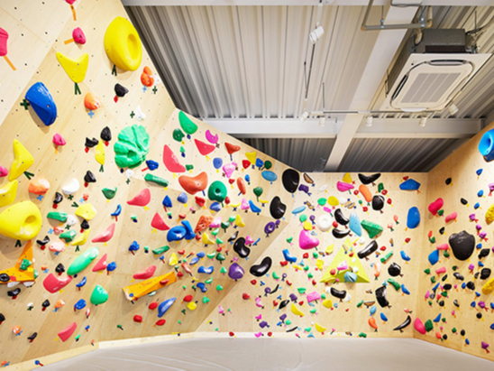 ԏTԖI{_ǑR[XAhNT[rXtI